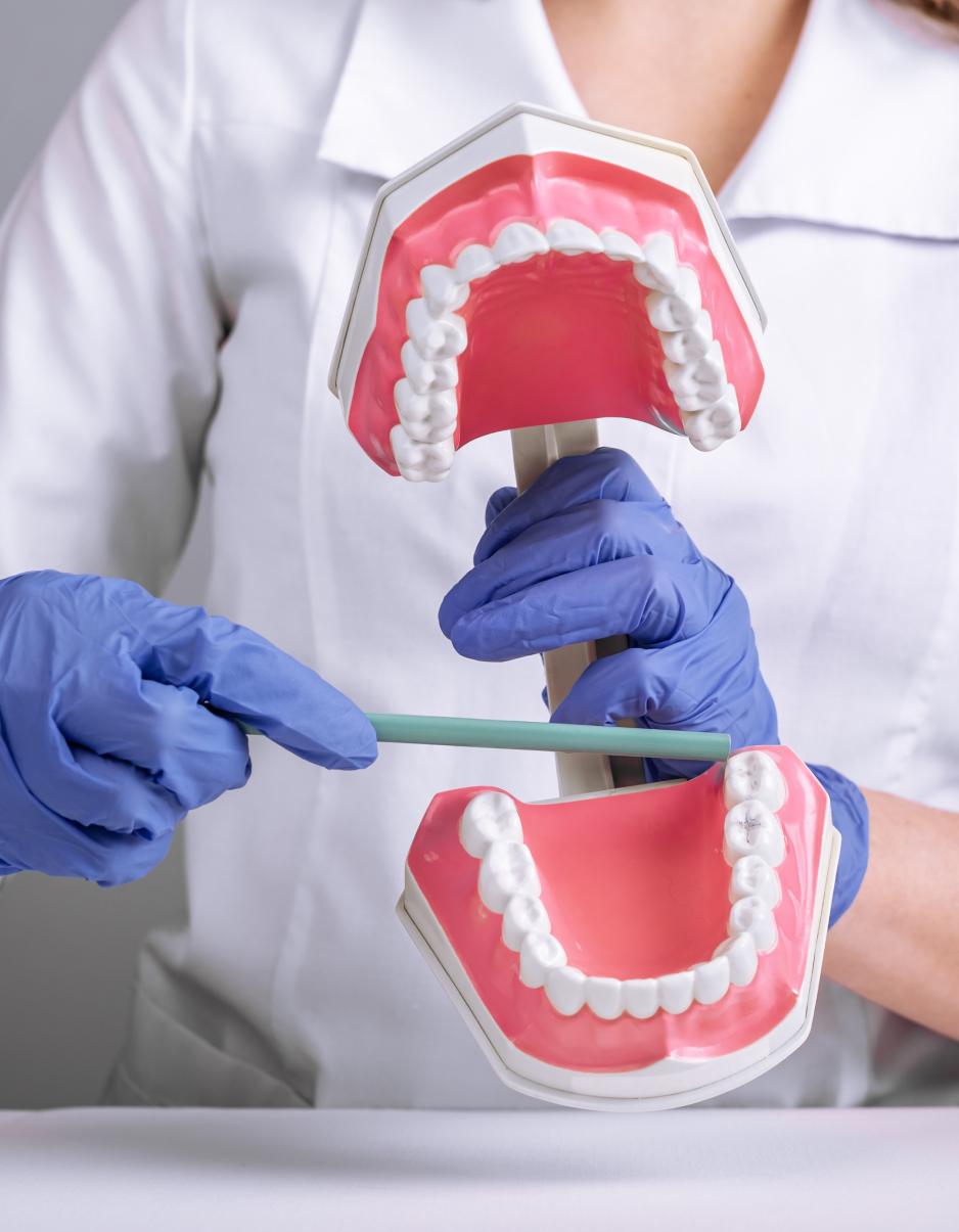 une intervention préventive et sécuritaire Extraction des dents de sagesse : une intervention préventive et sécuritaire